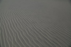 11407040_843915625694434_9203517335153086069_n[2]